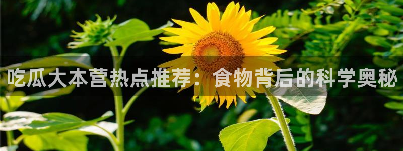 91吃瓜网今日大瓜热门大瓜