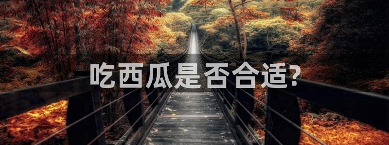 各种网红爆料吃瓜网站