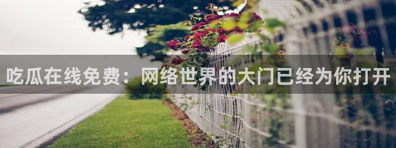 www.黑料.com