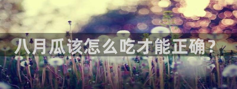 吃瓜网998.su永久有效