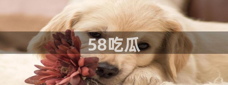 黑料黑料