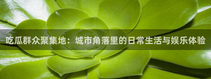51cg1.ct吃瓜：吃瓜群众聚集地：城市角落里的日常生活与娱乐体验
