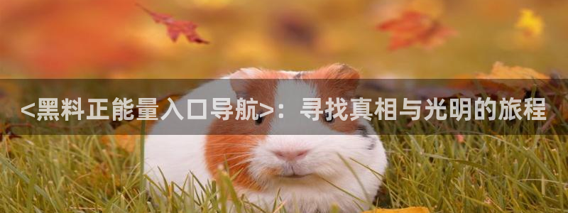 吃瓜吃到自己头上