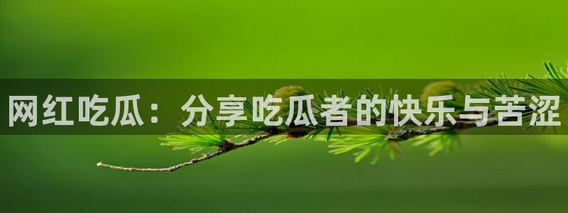 ccgg今日吃瓜