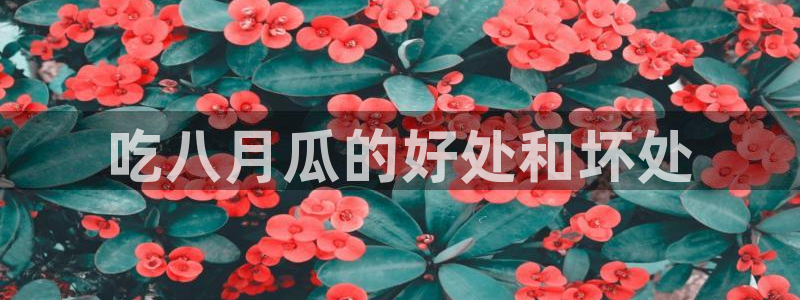 hongkongdoll 51吃瓜