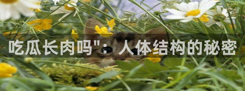 51吃瓜网每日榜单今日