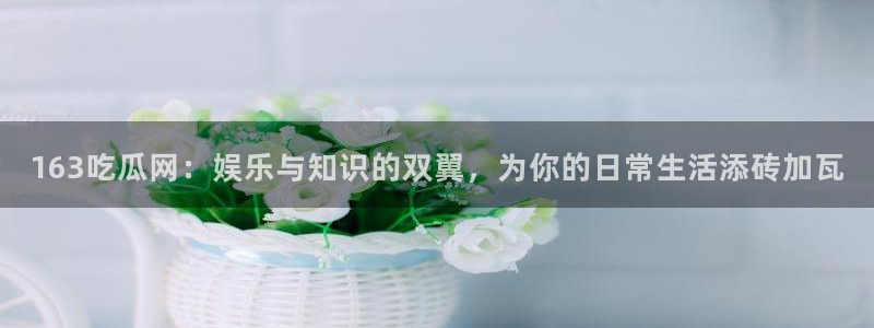 51吃瓜最新官网是多少：163吃瓜网：娱乐与知识的双翼，为你的日常生活添砖加瓦