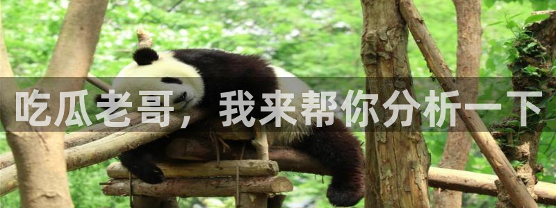 吃瓜网998.su永久有效
