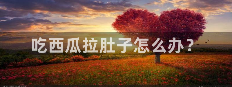 www.黑料.com