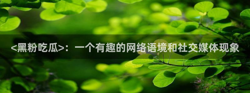 网站吃瓜：<黑粉吃瓜>：一个有趣的网络语境和社交媒体现象