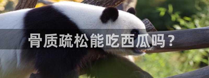 吃瓜新闻