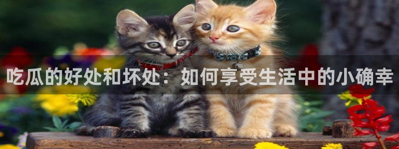 51吃瓜网小鹿酱：吃瓜的好处和坏处：如何享受生活中的小确幸