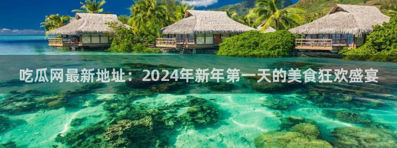 www.黑料：吃瓜网最新地址：2024年新年第一天的美食狂欢盛宴