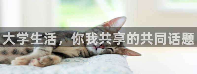 黑料下载：大学生活，你我共享的共同话题