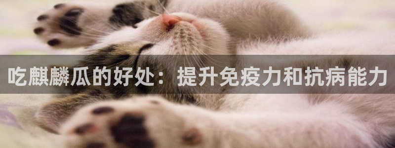 51国产吃瓜在线今日吃瓜
