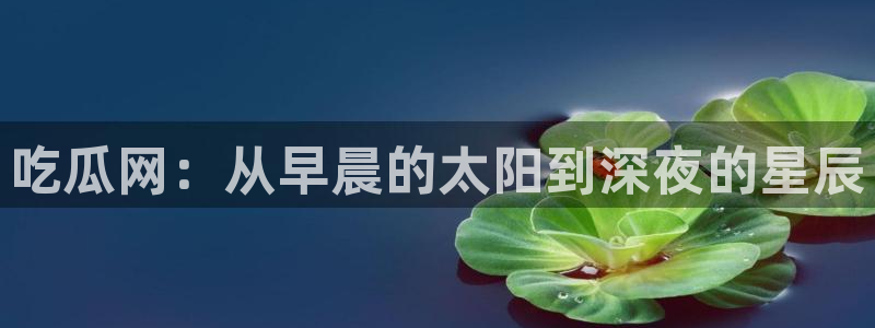 51吃瓜网热门黑料：吃瓜网：从早晨的太阳到深夜的星辰