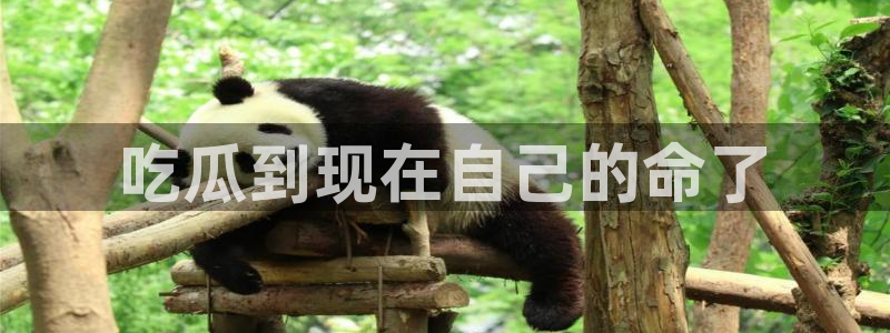 51吃瓜出品短剧怎么下载：吃瓜到现在自己的命了