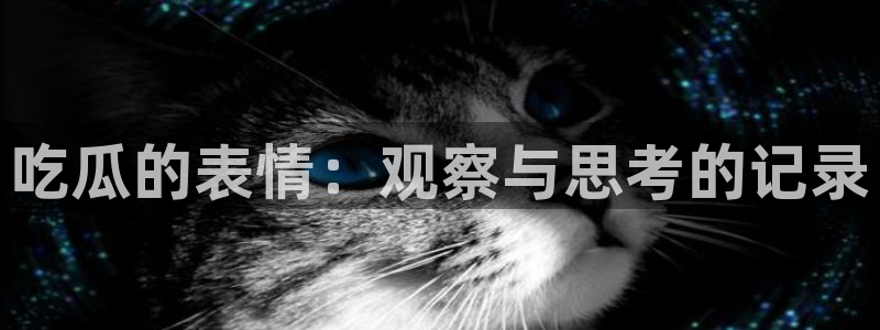 板栗瓜怎样做最好吃