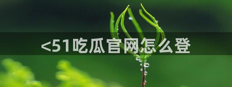 24小时吃瓜不间断