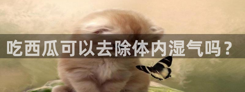 黑料揭秘