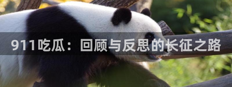 51吃瓜全网最快更新今日热门吃瓜：911吃瓜：回顾与反思的长征之路