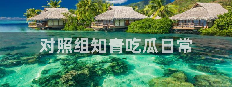 www.黑料.com