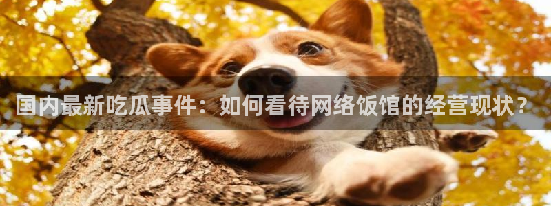 板栗瓜怎样做最好吃：国内最新吃瓜事件：如何看待网络饭馆的经营现状？