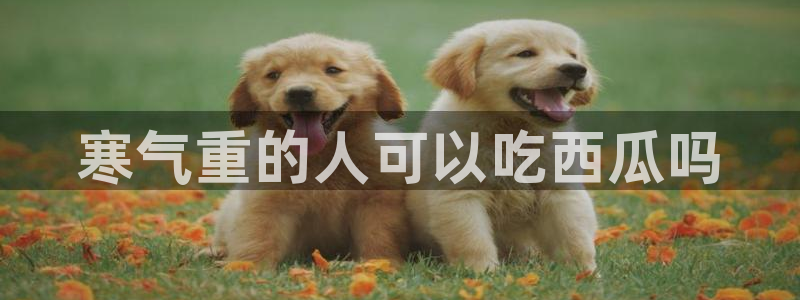 吃瓜是什么意思?