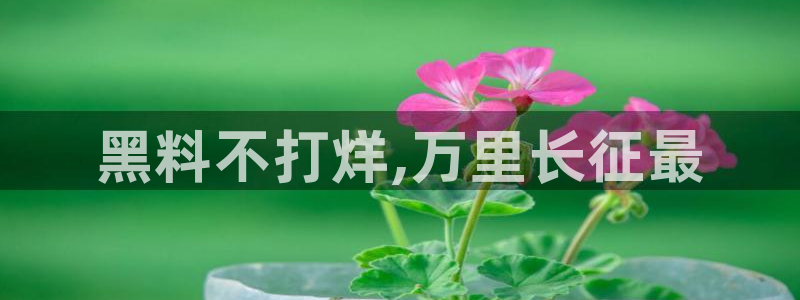 吃瓜最新