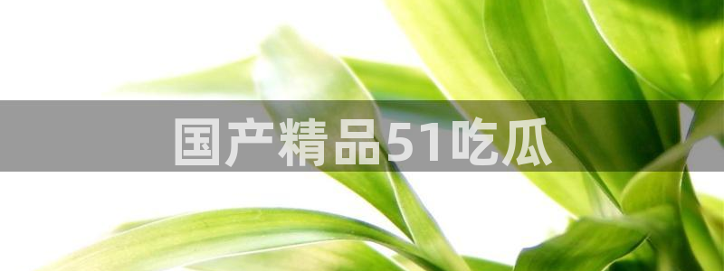 吃瓜去哪个网:国产精品51吃瓜
