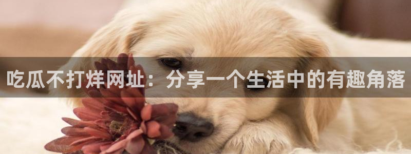 51吃瓜全网吃最快的瓜