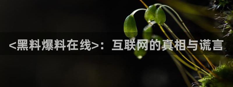 高血糖可以吃籽瓜吗:<黑料爆料在线>:互联网的真相与谎言