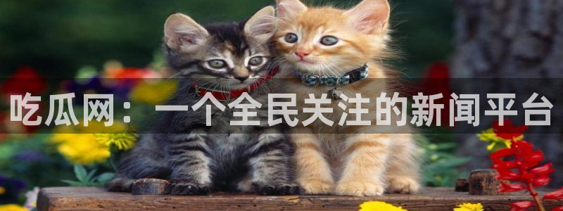 51吃瓜今日吃瓜最新网址:吃瓜网:一个全民关注的新闻平台