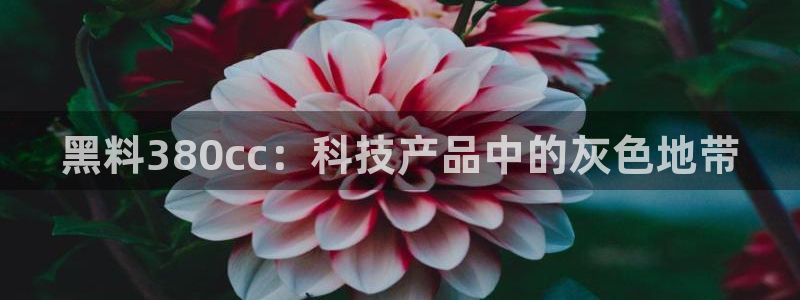 吃瓜网 今日吃瓜 热门大瓜:黑料380cc:科技产品中的灰色地带